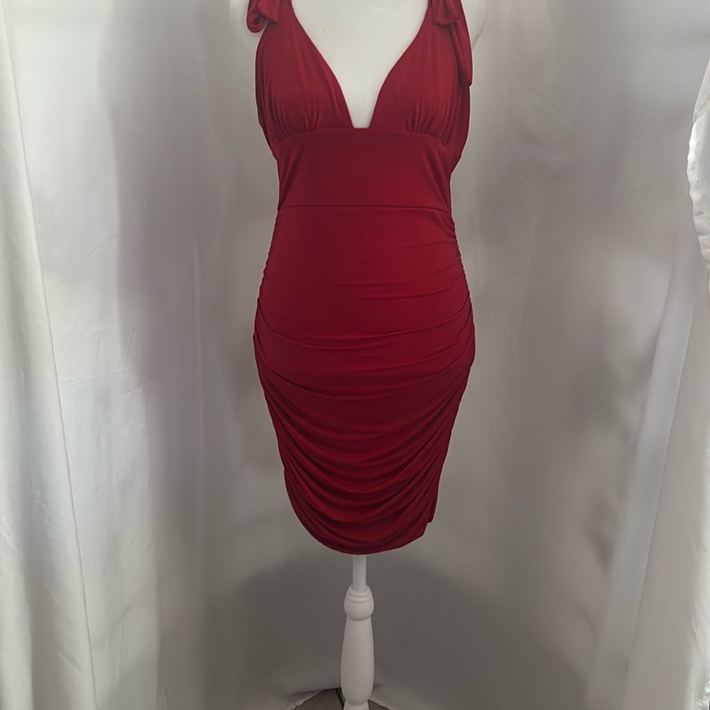 Dining in ruched mini dress